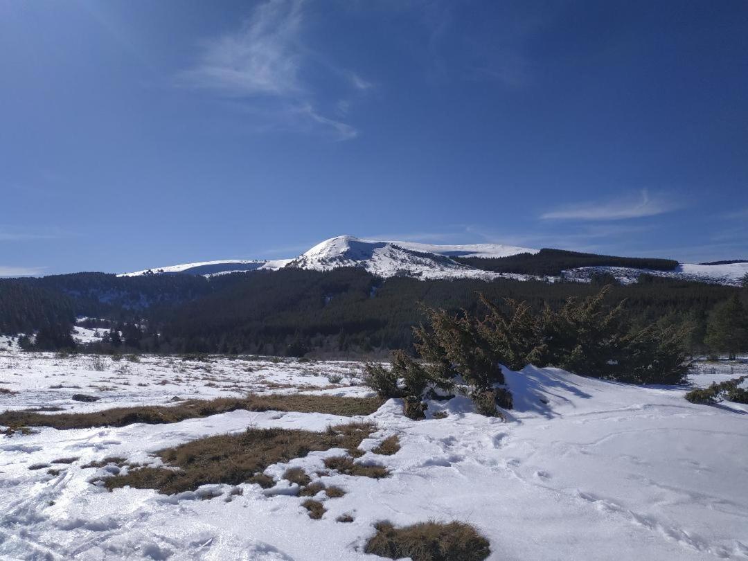 Nid Sous Le Volcan Saint-Sandoux Dış mekan fotoğraf