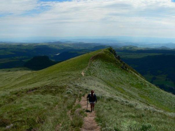 Nid Sous Le Volcan Saint-Sandoux Dış mekan fotoğraf