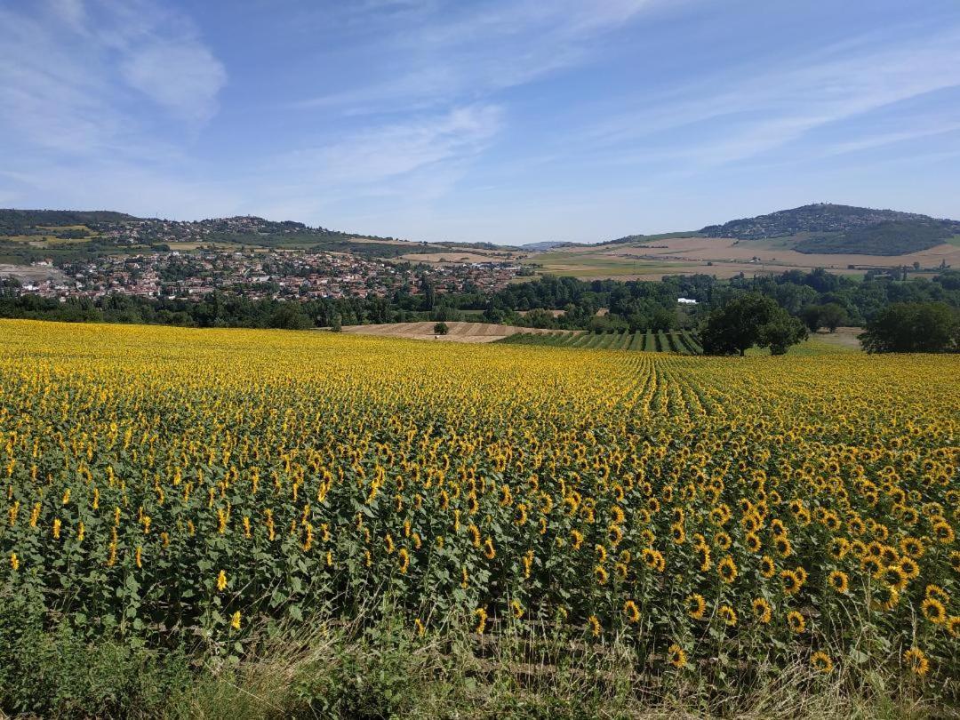 Nid Sous Le Volcan Saint-Sandoux Dış mekan fotoğraf